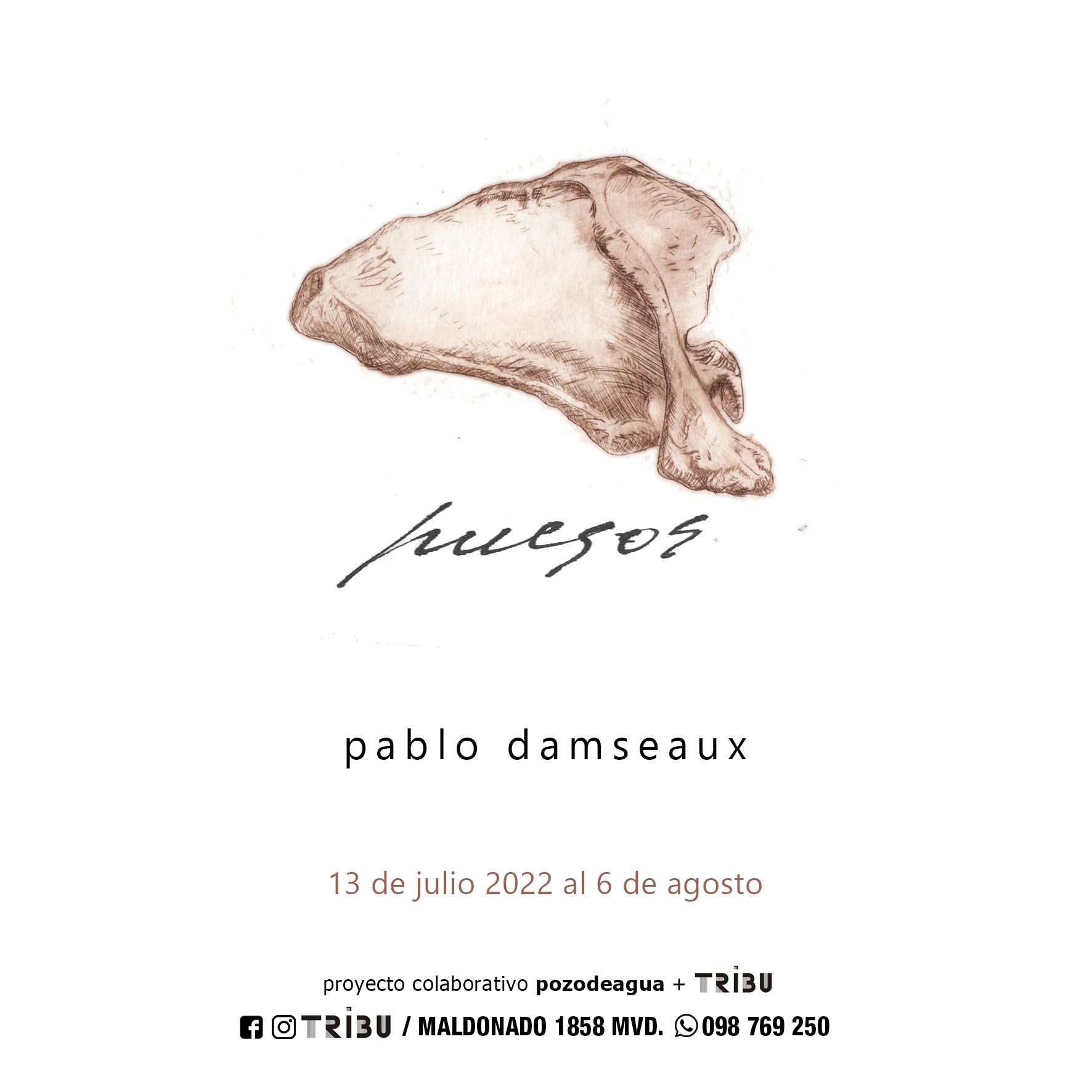 Imagen de la diapositiva