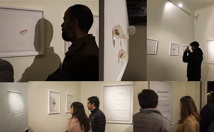 Imagen de la diapositiva