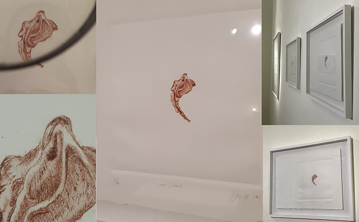 Imagen de la diapositiva