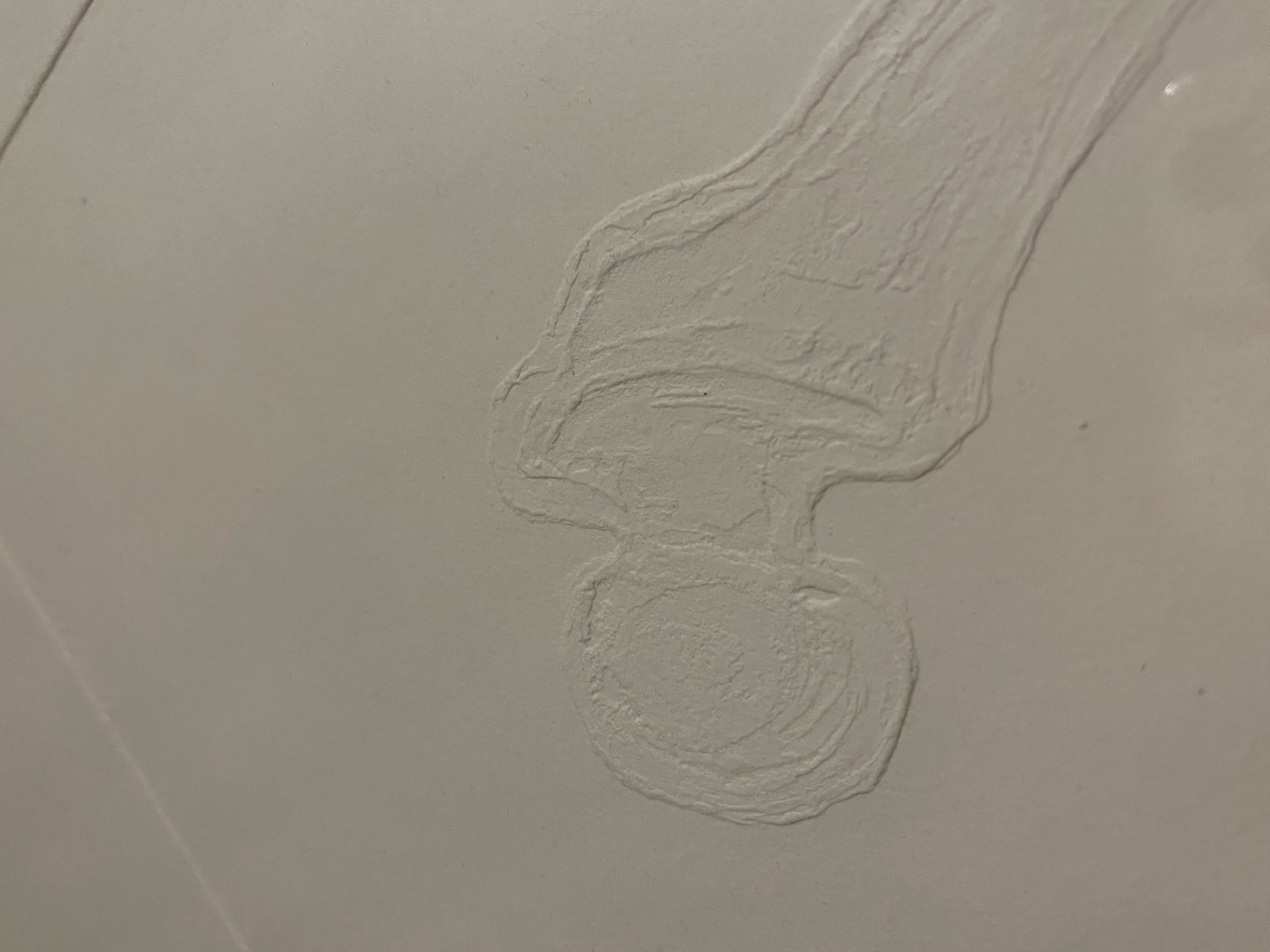 Imagen de la diapositiva