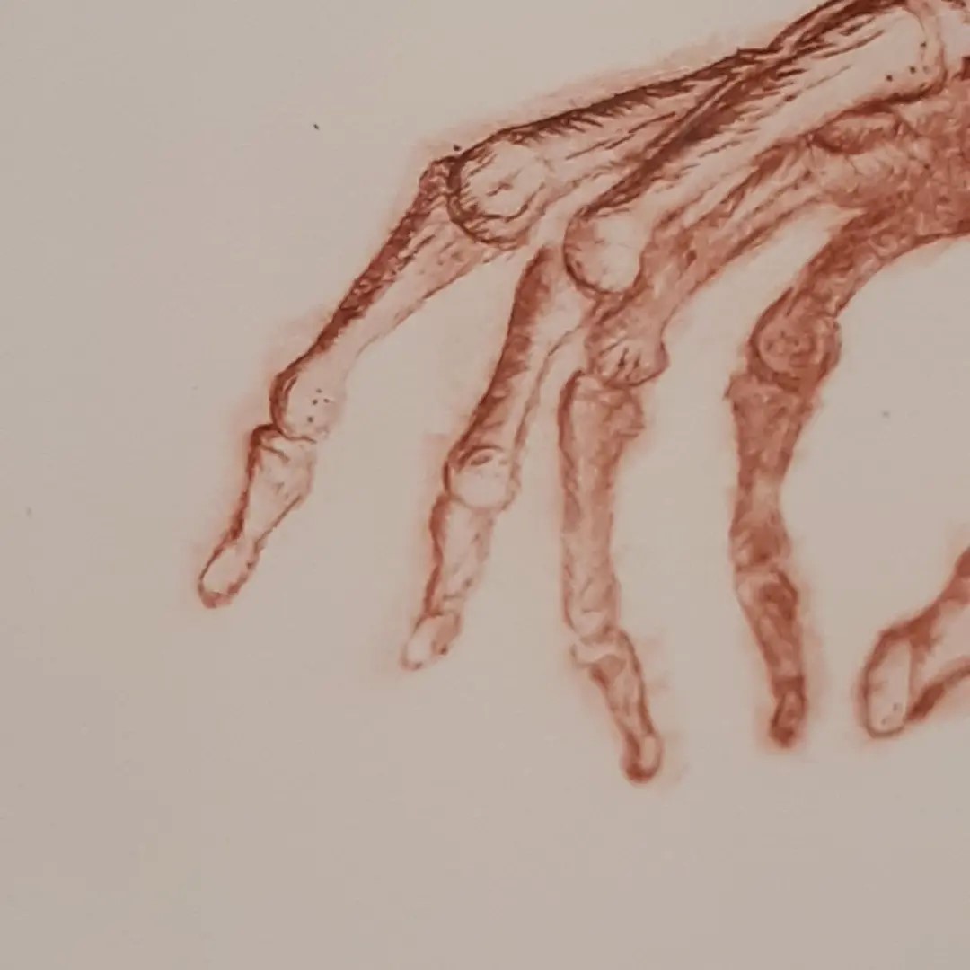 Imagen de la diapositiva