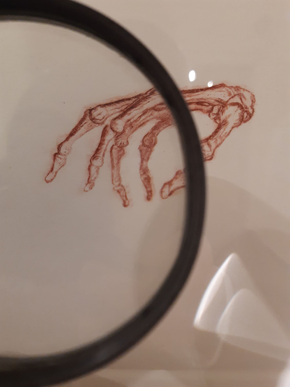 Imagen de la diapositiva