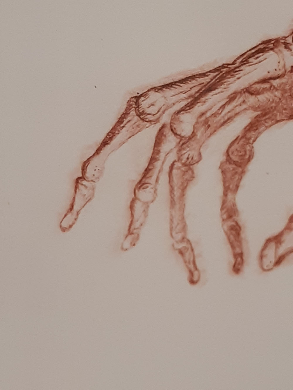 Imagen de la diapositiva