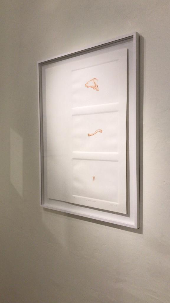 Imagen de la diapositiva