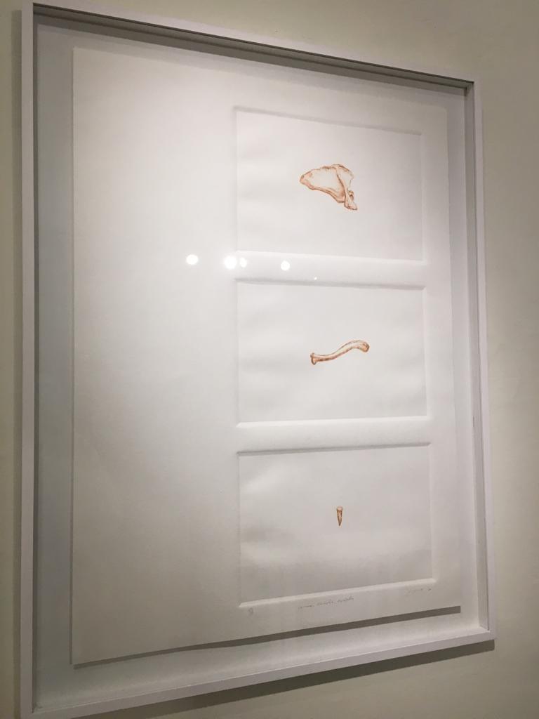 Imagen de la diapositiva