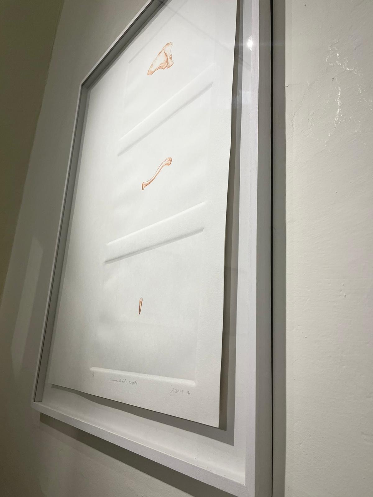 Imagen de la diapositiva