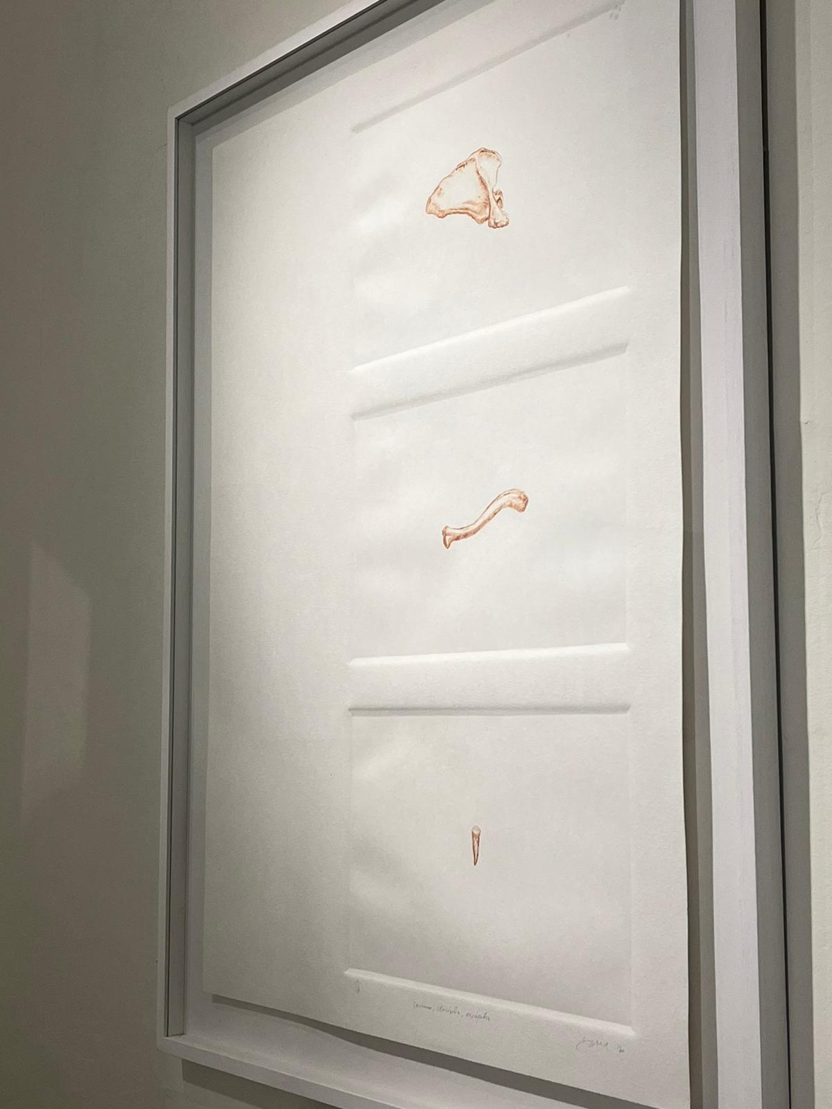 Imagen de la diapositiva