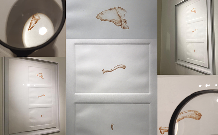 Imagen de la diapositiva