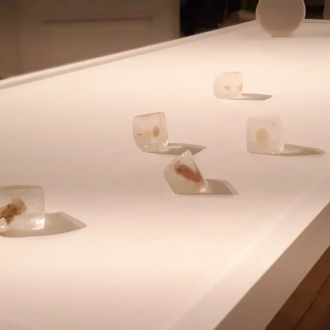 Imagen de la diapositiva