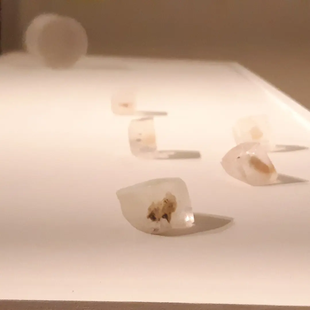 Imagen de la diapositiva