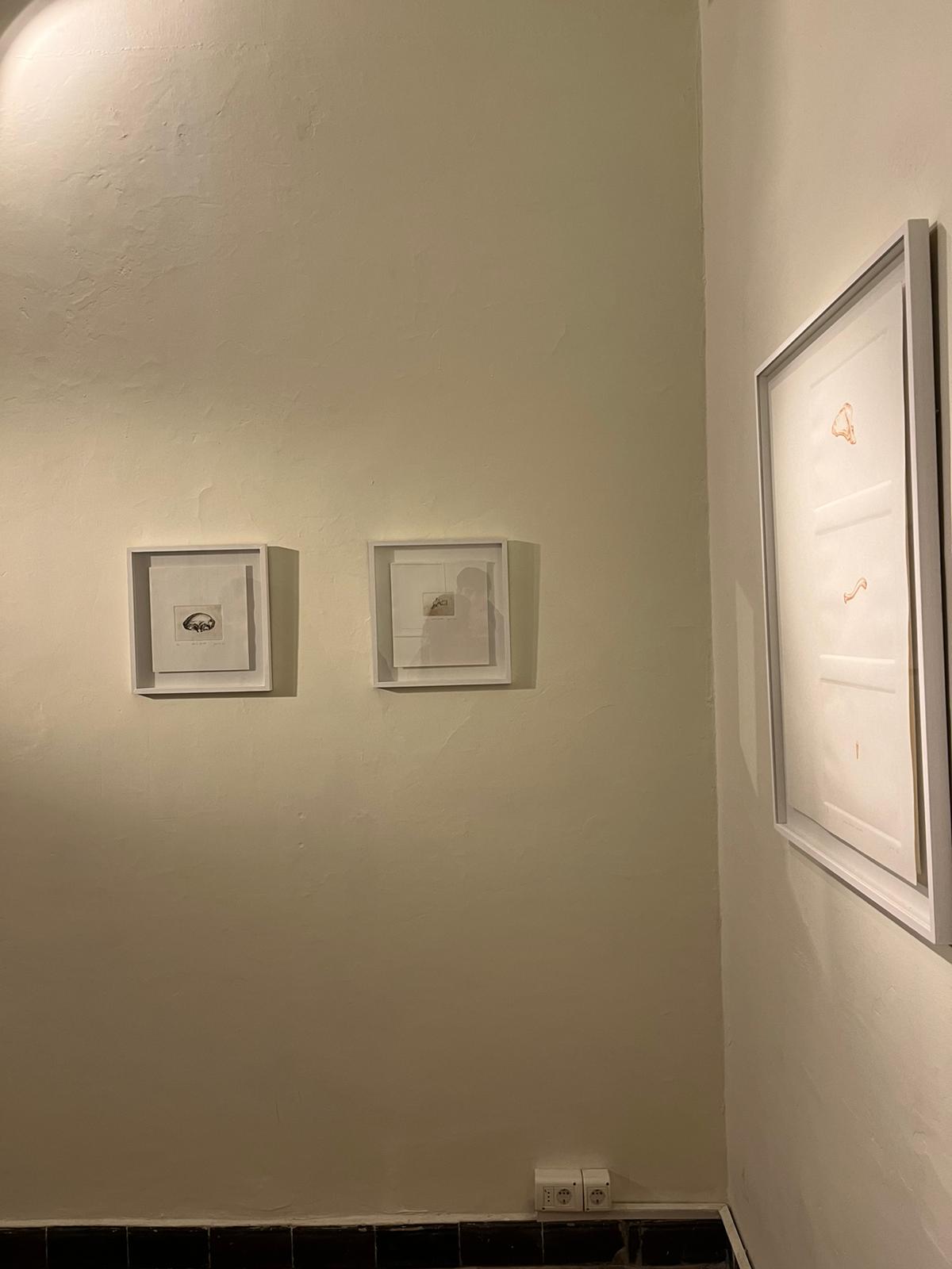 Imagen de la diapositiva