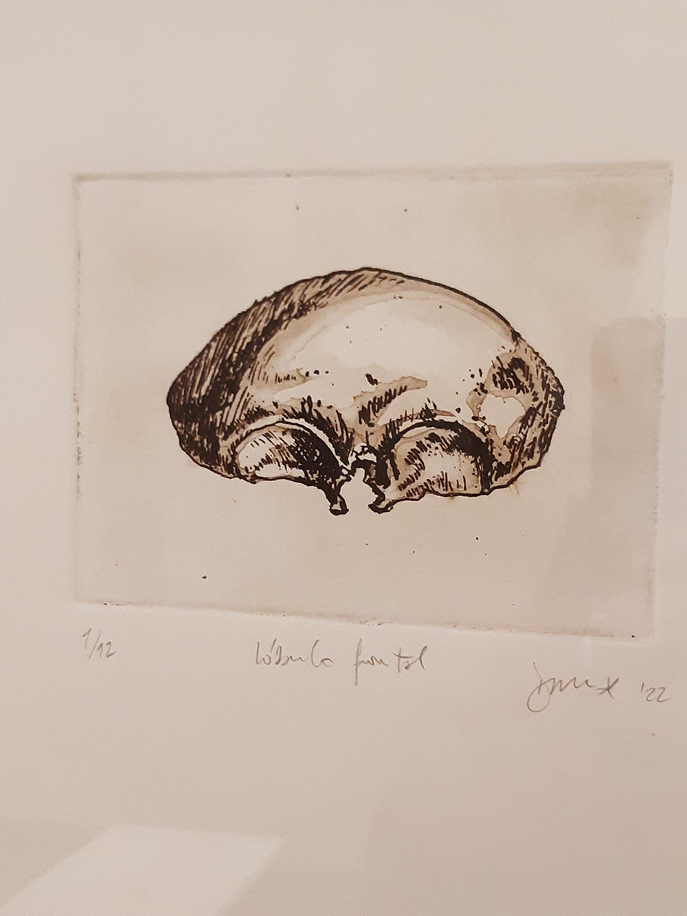 Imagen de la diapositiva