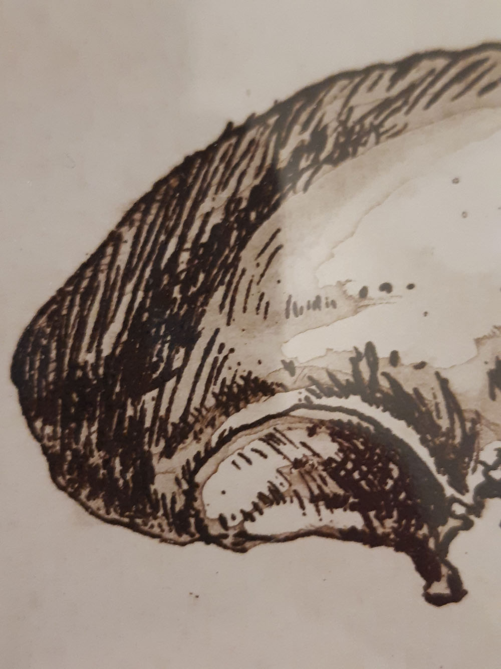 Imagen de la diapositiva