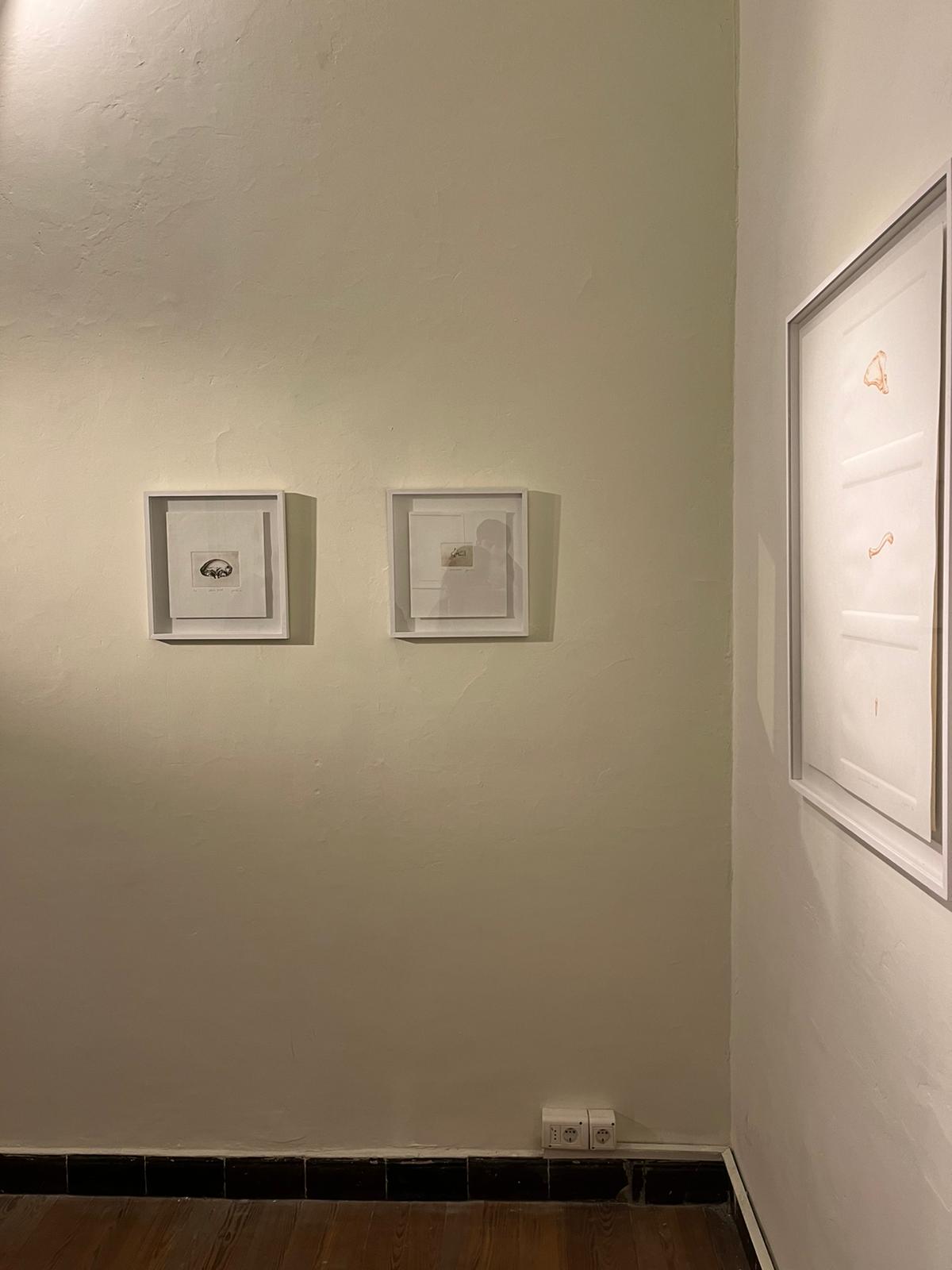 Imagen de la diapositiva