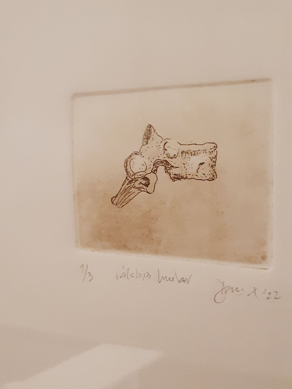 Imagen de la diapositiva