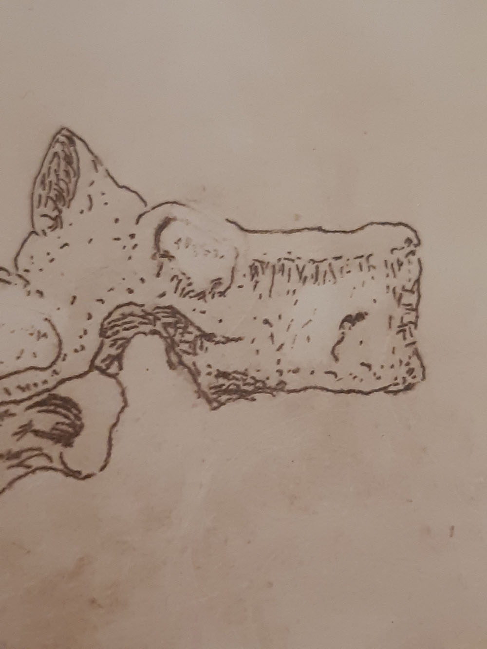 Imagen de la diapositiva