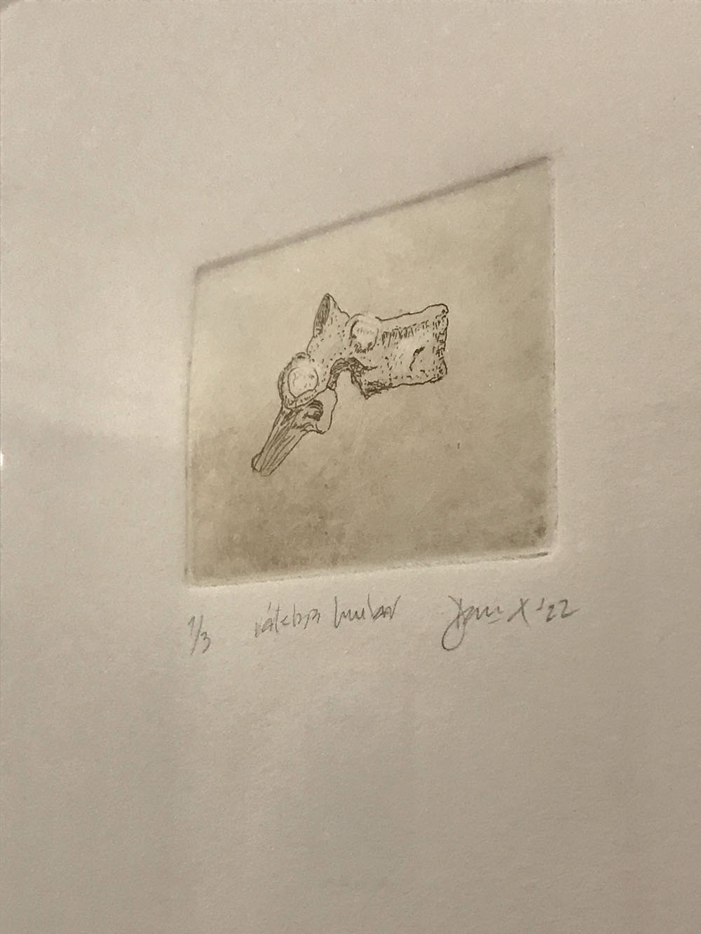 Imagen de la diapositiva