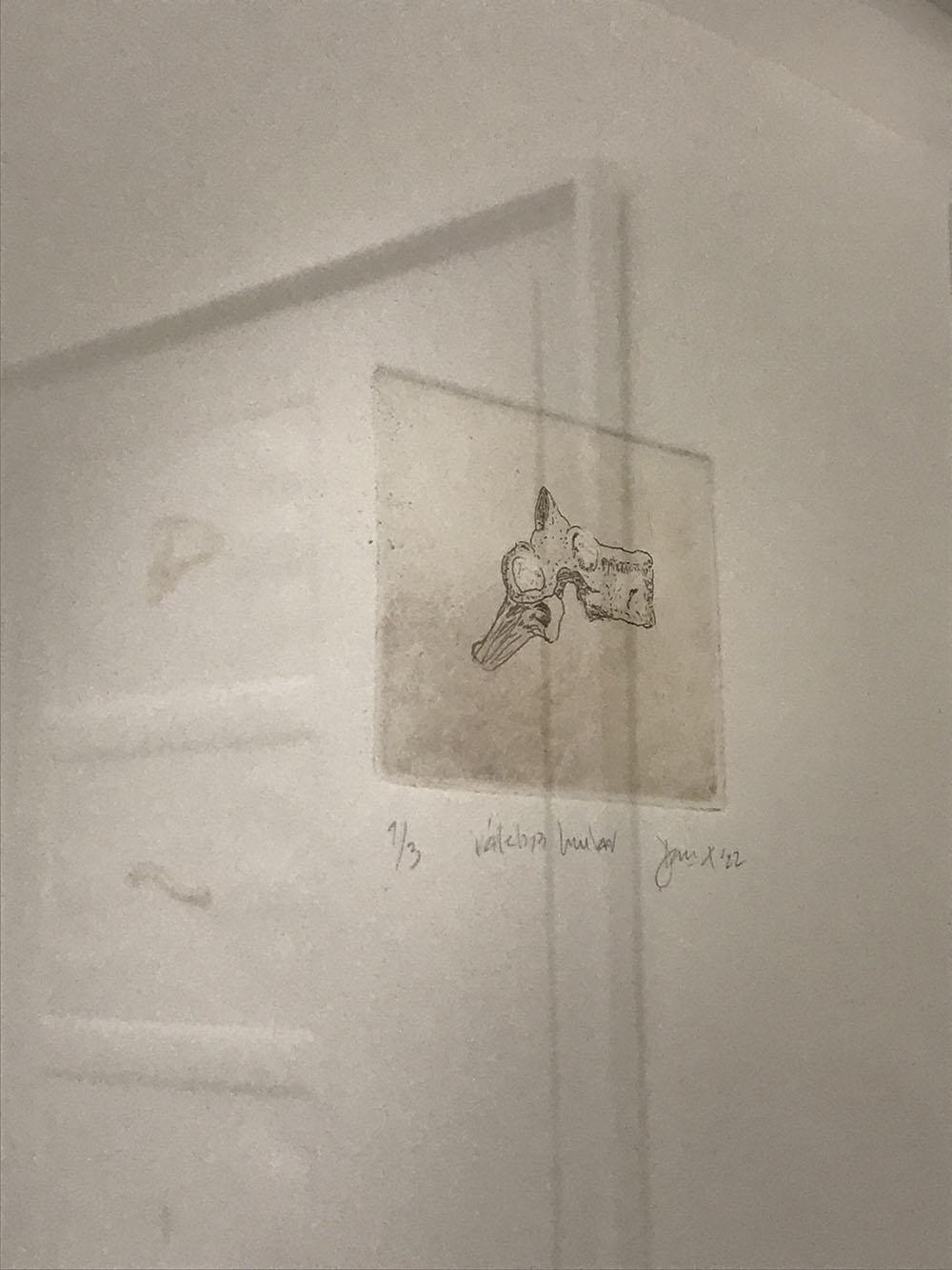 Imagen de la diapositiva