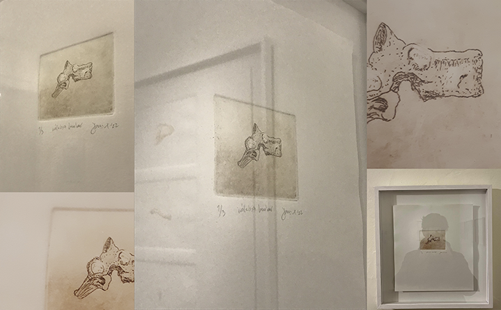 Imagen de la diapositiva