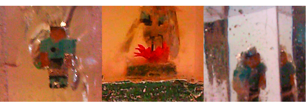 Imagen de la diapositiva