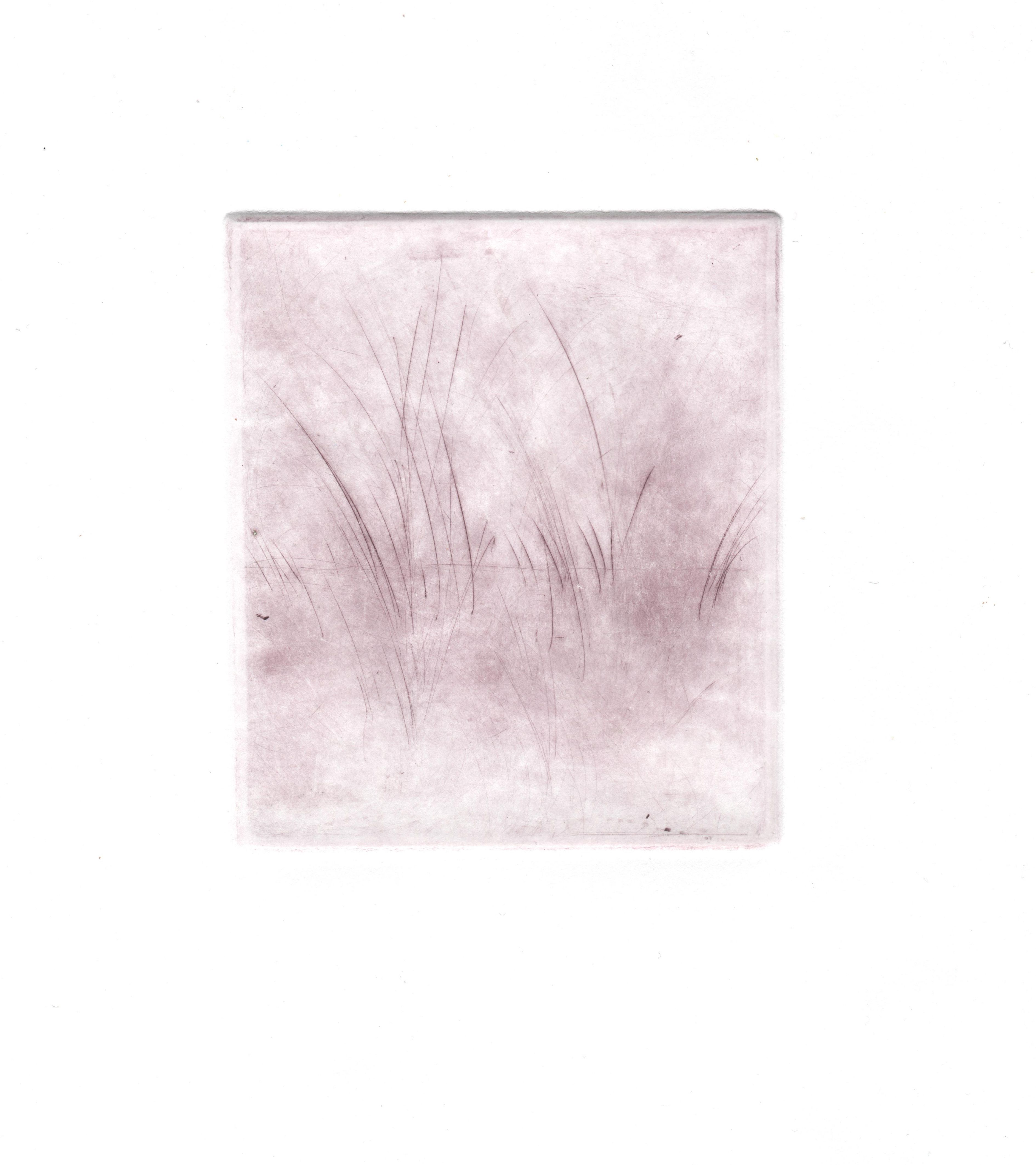 Odoo • Una imagen con una leyenda