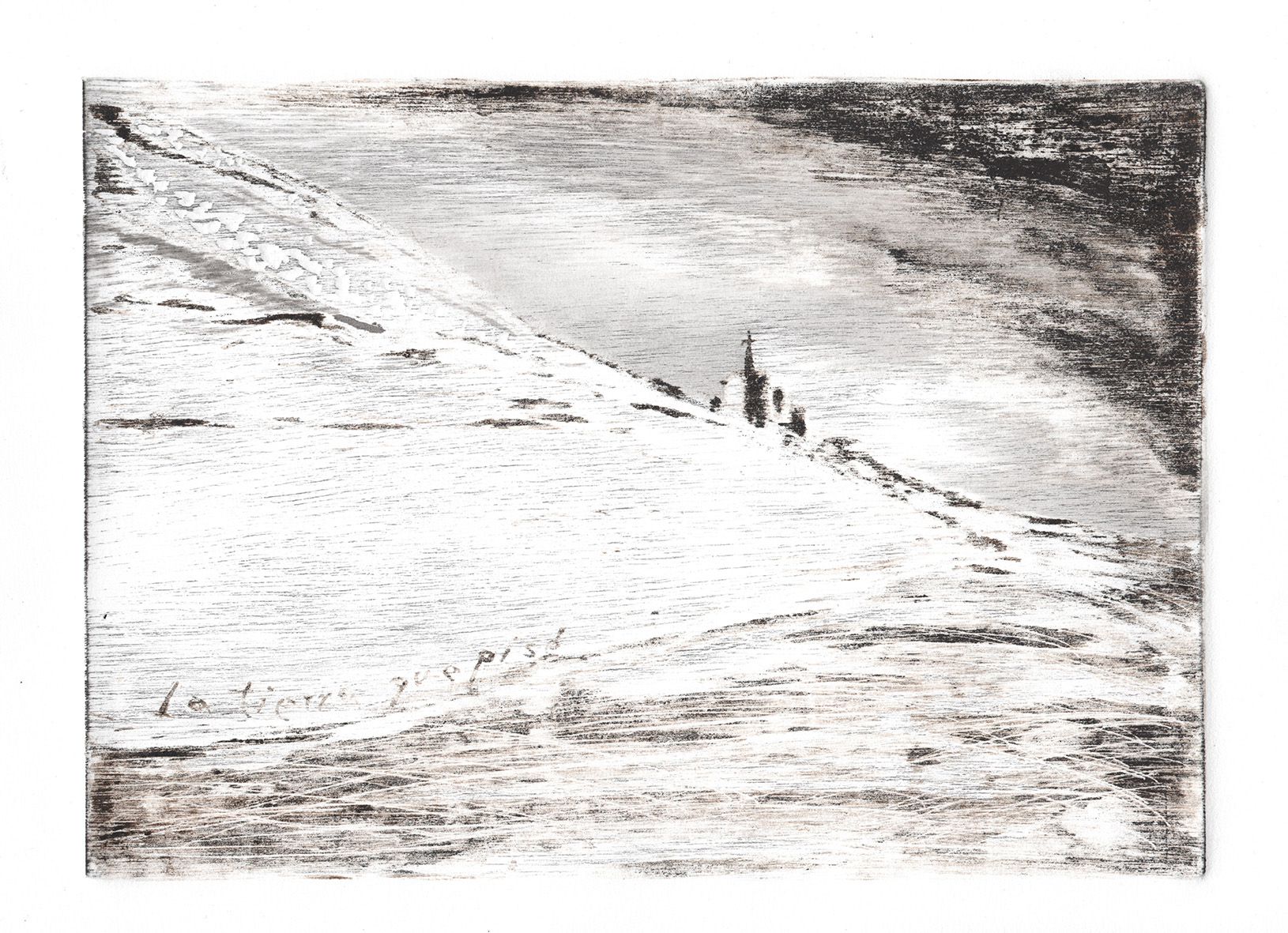 Odoo • Imagen y texto